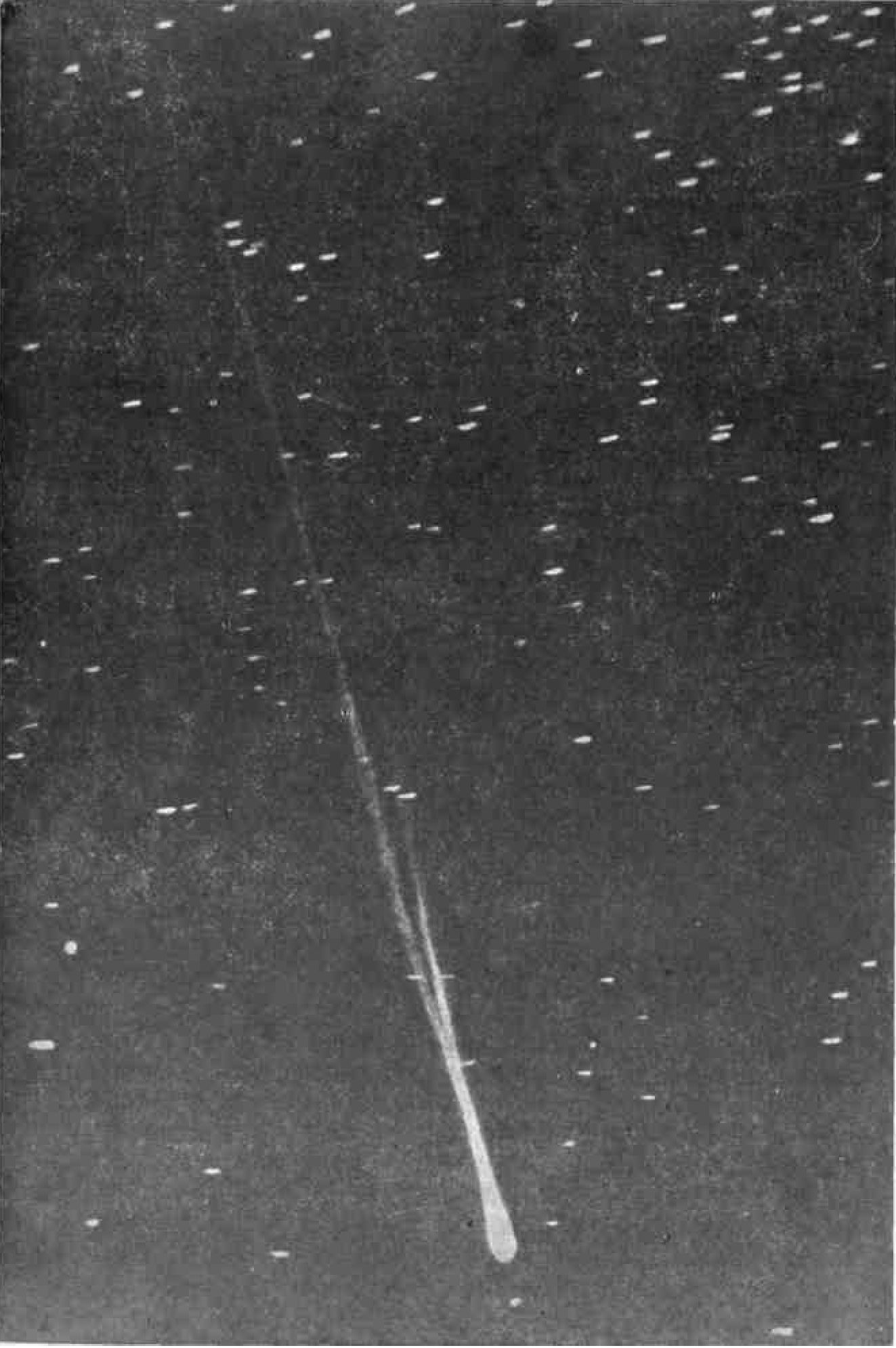 Комета 1939 III, открытая 15 апреля 1939 г. И.В. Ахмаровым и С.Н. Юрловым (снимок Зонненбергской обсерватории, ГДР)