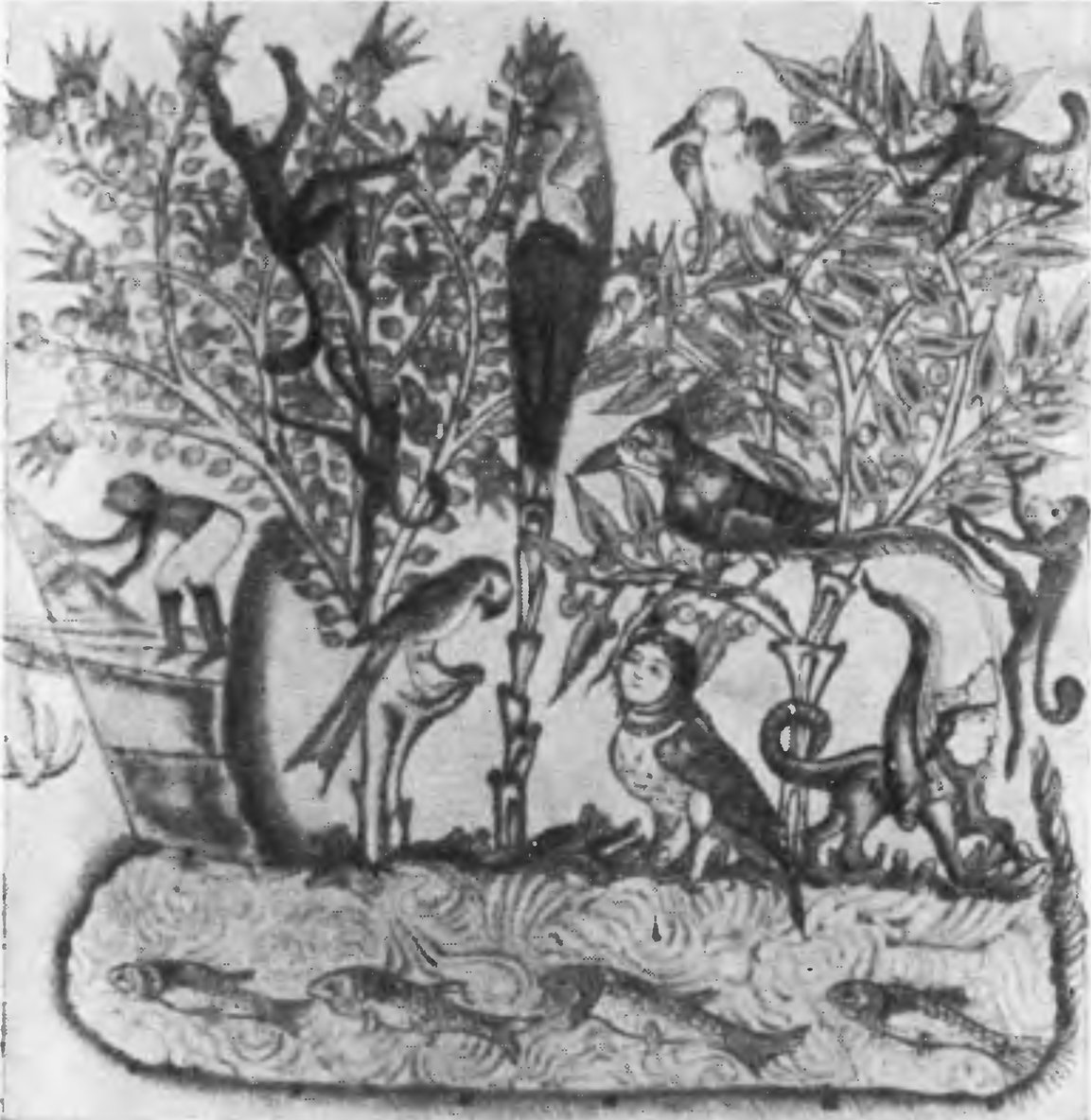 Животные и растения Индии Миниатюра из книги Бузурга ибн Шахрияра (X в.)
