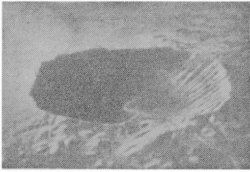 Рис. 8. Аризонский метеоритный кратер
