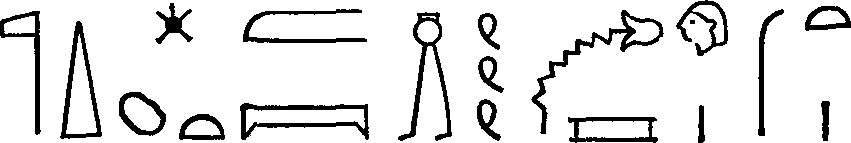 Рис. 1. Иероглифическая надпись, означающая «Божественная Сотис вызывает Нил к началу года»