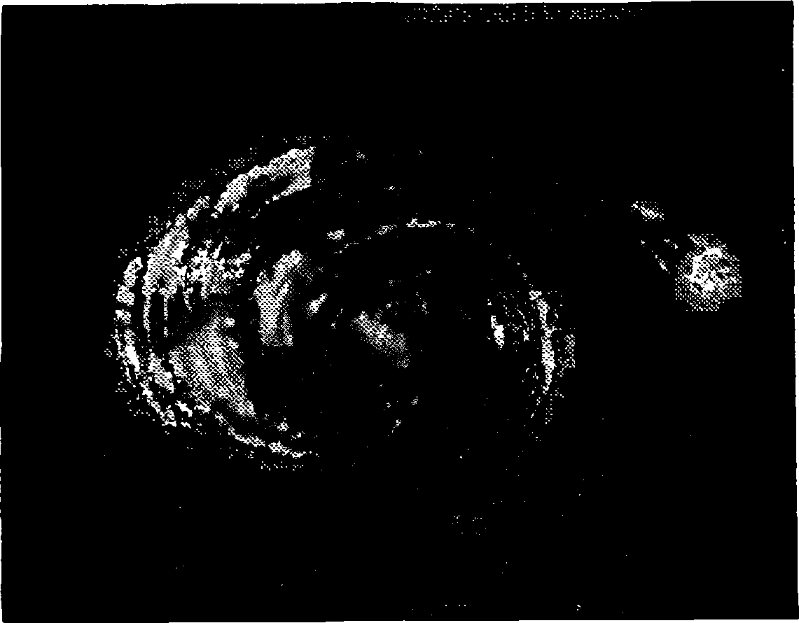 Рис. 56. Туманность M 51 по рисунку Росса («Водоворот Росса»)