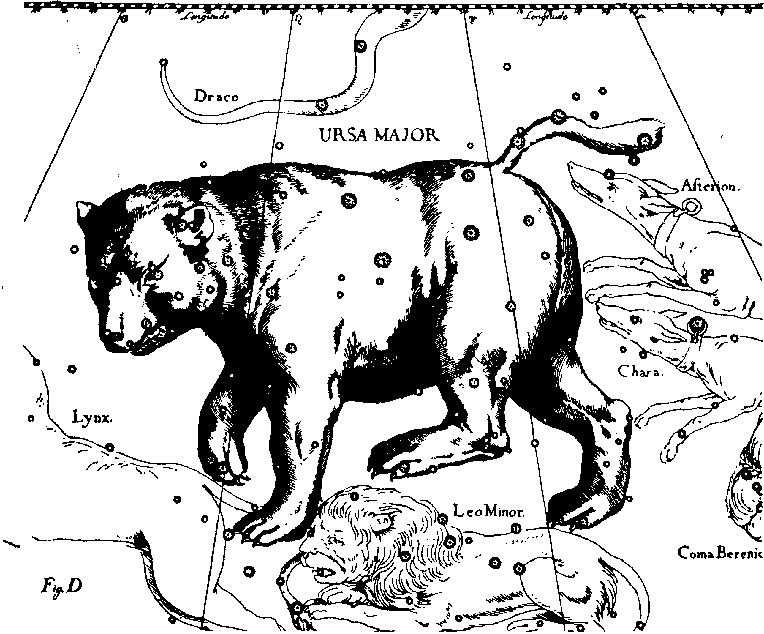 Изображение созвездия Большой Медведицы