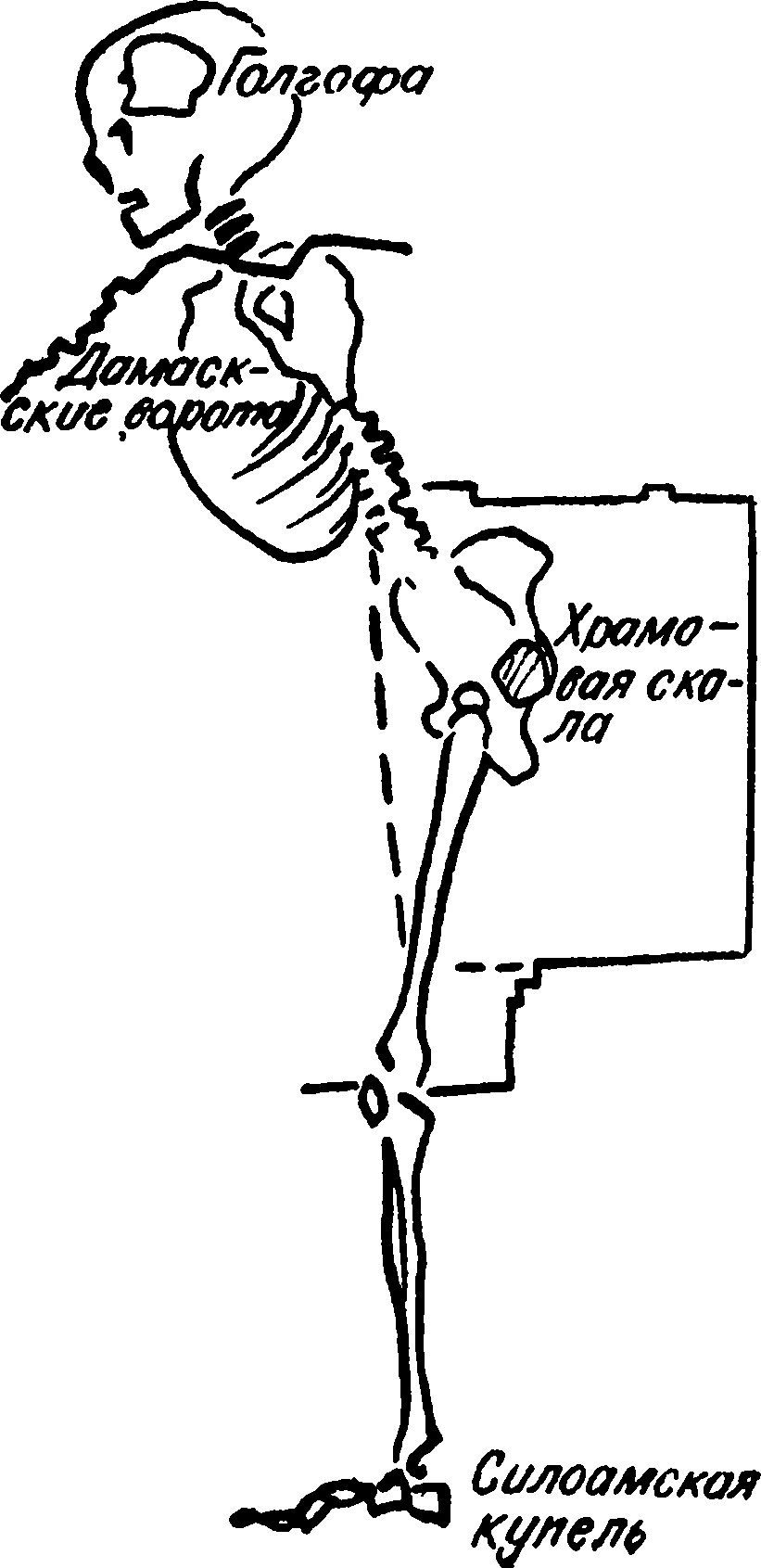 Космическое тело Адама с Голгофой-черепом, воспроизводящее топографию Иерусалима (реконструкция)