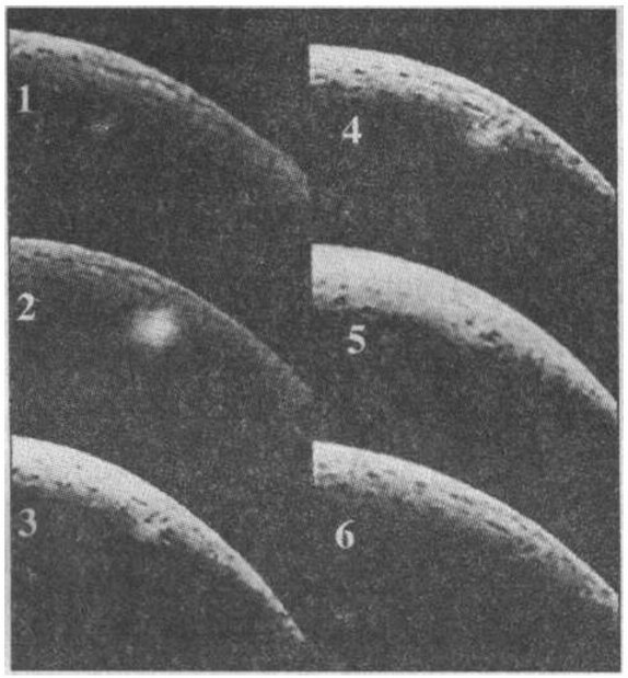 Рис. 13. Вспышка на Луне 11 января 1978 г. Снимки сделаны с интервалом 7 с