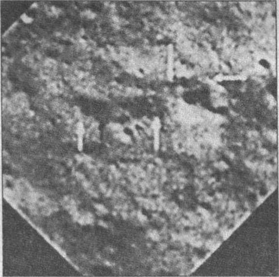 Рис. 2 Прямоугольные структуры у лунного кратера Лавлейс. На склонах видны террасы (отмечены стрелками). Фрагмент снимка LHD5628R.080 космического зонда «Клементина»