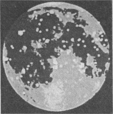 Рис. 21. Приблизительно так выглядела бы Луна ночью, если ее загадочные огни засверкали бы одновременно. Карта составлена по данным каталога НАСА (1978 г.)