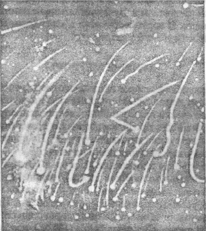 Рис. 53. Кривые метеоры на рисунке Леопольда Трувело, наблюдавшего звездный дождь 13—14 ноября 1868 г