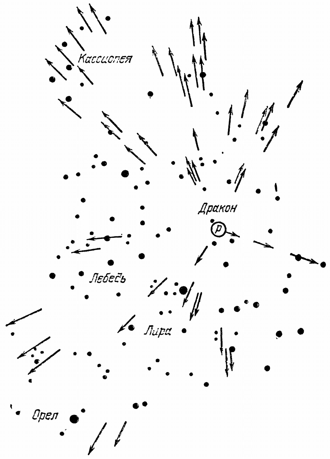 Рис. 93. Нанесенные на карту звездного неба пути метеоров, принадлежащие к одному радианту. Место радианта отмечено буквой Ρ