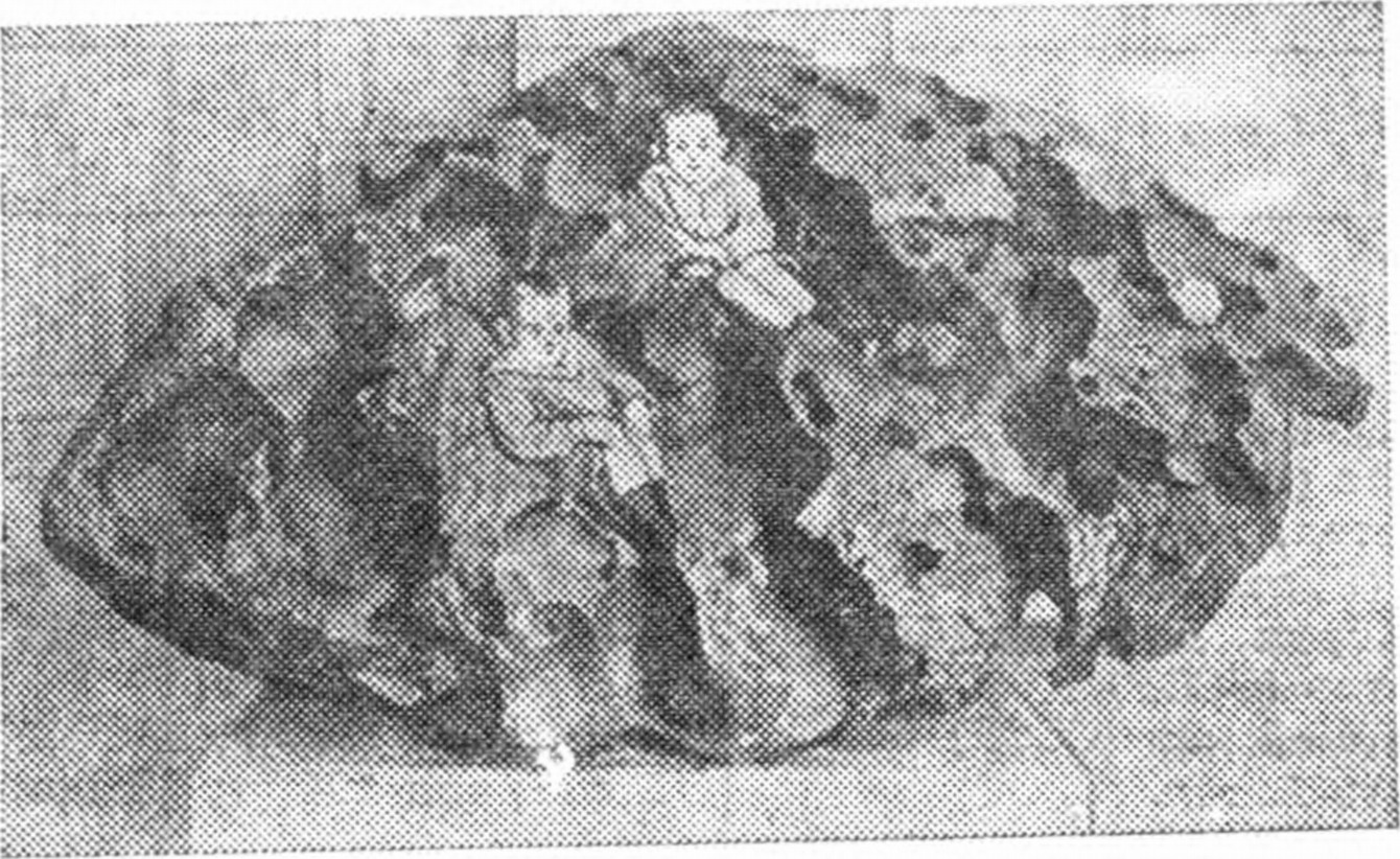 Рис. 105. Метеорит Вилламет. Полости в нем (в которых легко поместились два мальчика) образовались в результате выветривания