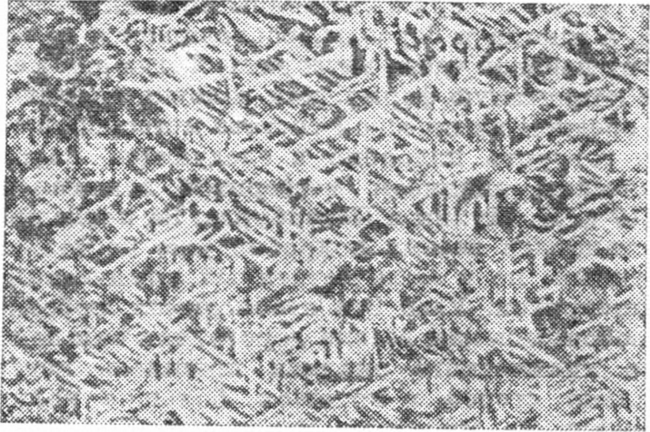 Рис. 106. Видманштеттеновы фигуры на полированной поверхности железного метеорита, протравленной кислотой