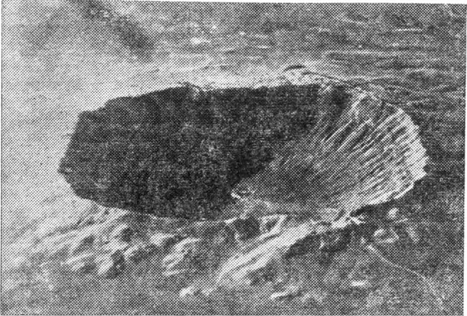 Рис. 107. «Каньон Дьявола» — Аризонский метеоритный кратер (вид с самолета)
