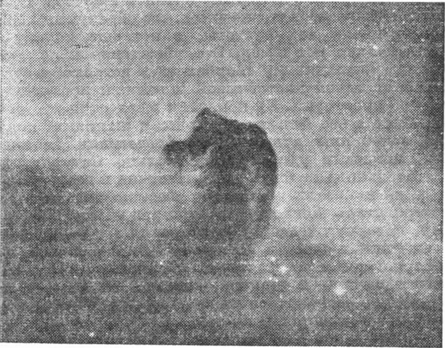 Рис. 114. Темная туманность «Конская голова» в созвездии Ориона