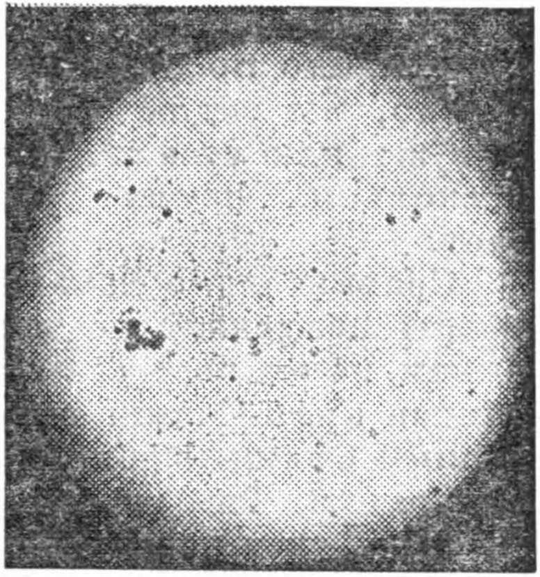 Рис. 126. Спектрогеолиограмма Солнца в лучах водорода. Видны светлые флоккулы вокруг пятен и темные волокна. Внизу — обычная фотография Солнца