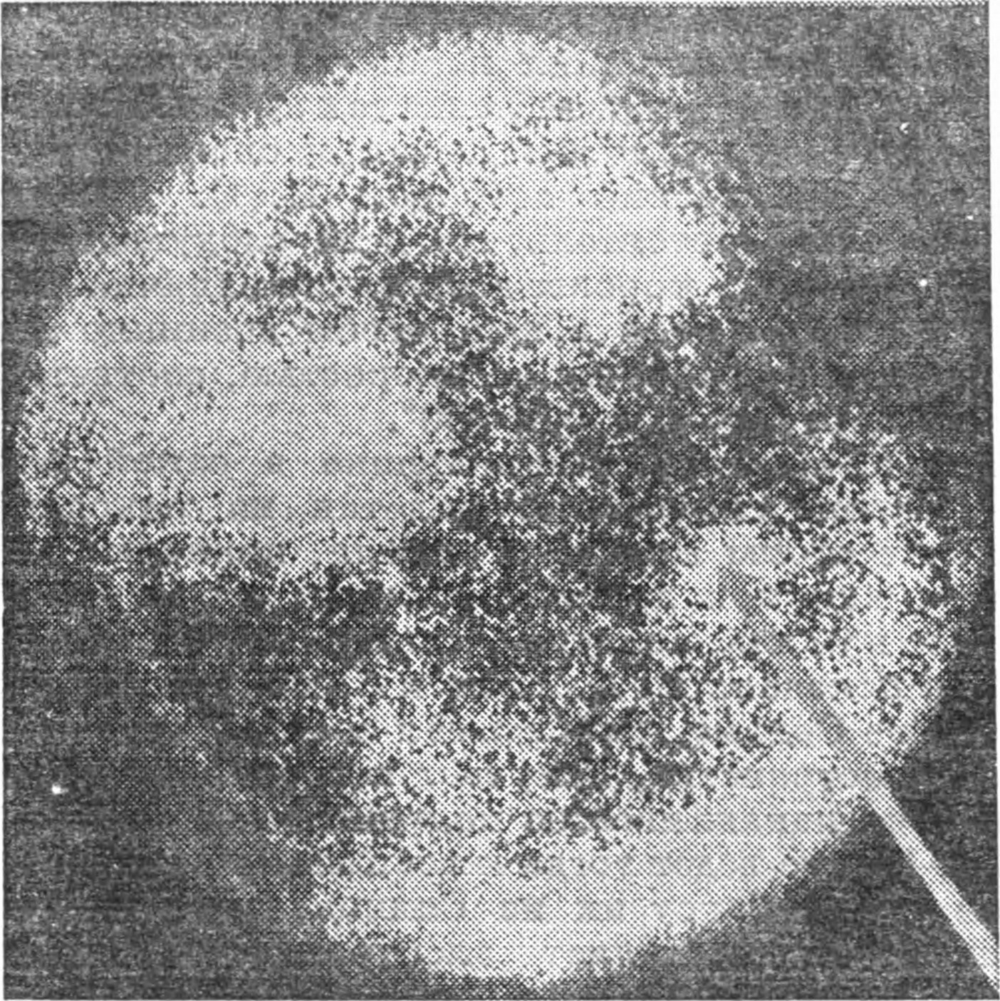 Рис. 134. Фотография Солнца в рентгеновских лучах