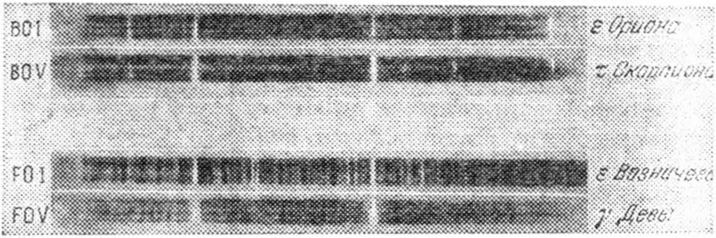 Рис. 139. Спектры звезд-сверхгигантов (верхние в паре спектров) и звезд-карликов (нижние)