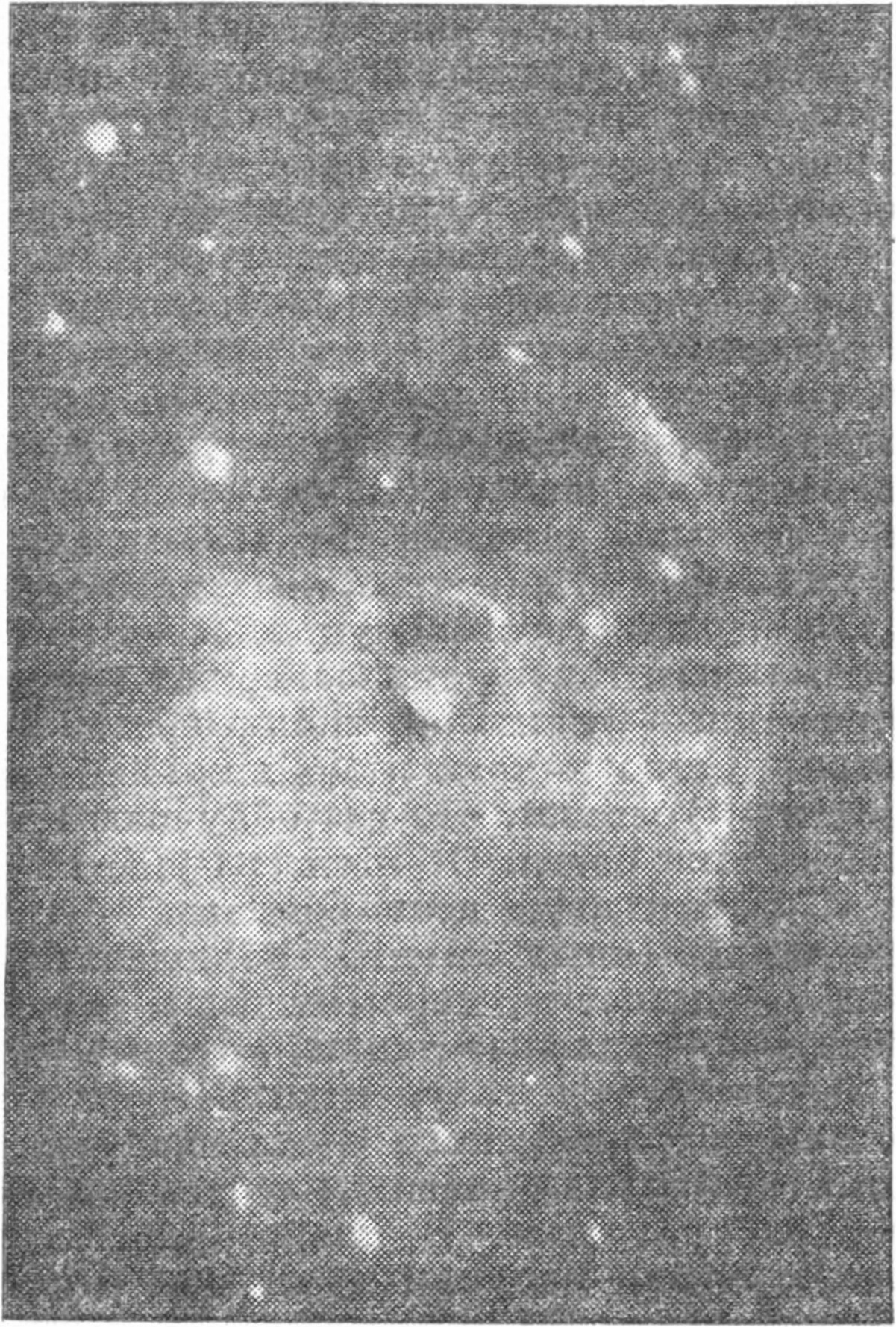 Рис. 174. Планетарная туманность в созвездии Лисички. (Фотография автора.)