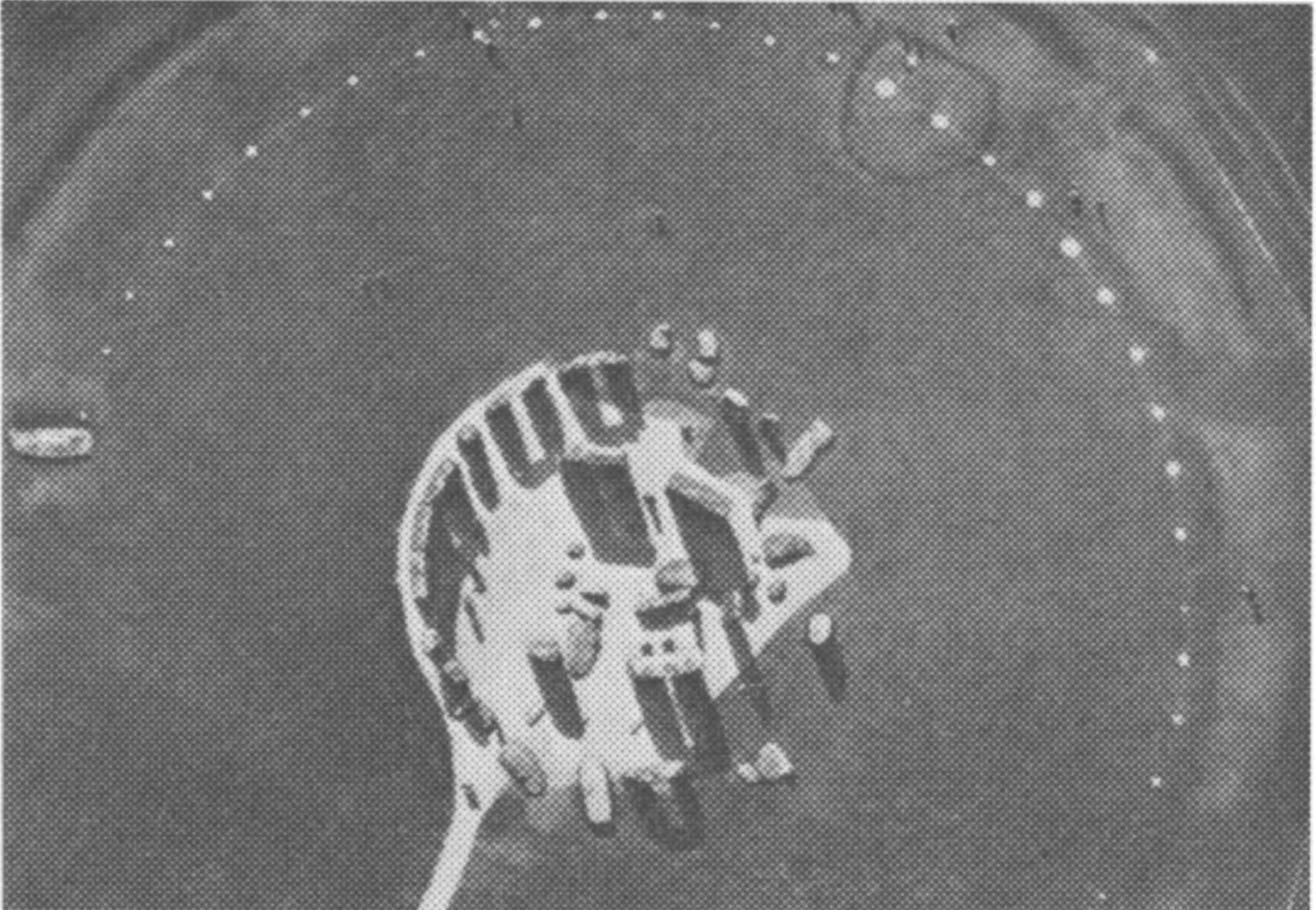 Фото 4. Стоунхендж с высоты 150 метров, июль 1963 г. Маленький почти круговой ров в верхней части фотографии обрамляет насыпь № 94