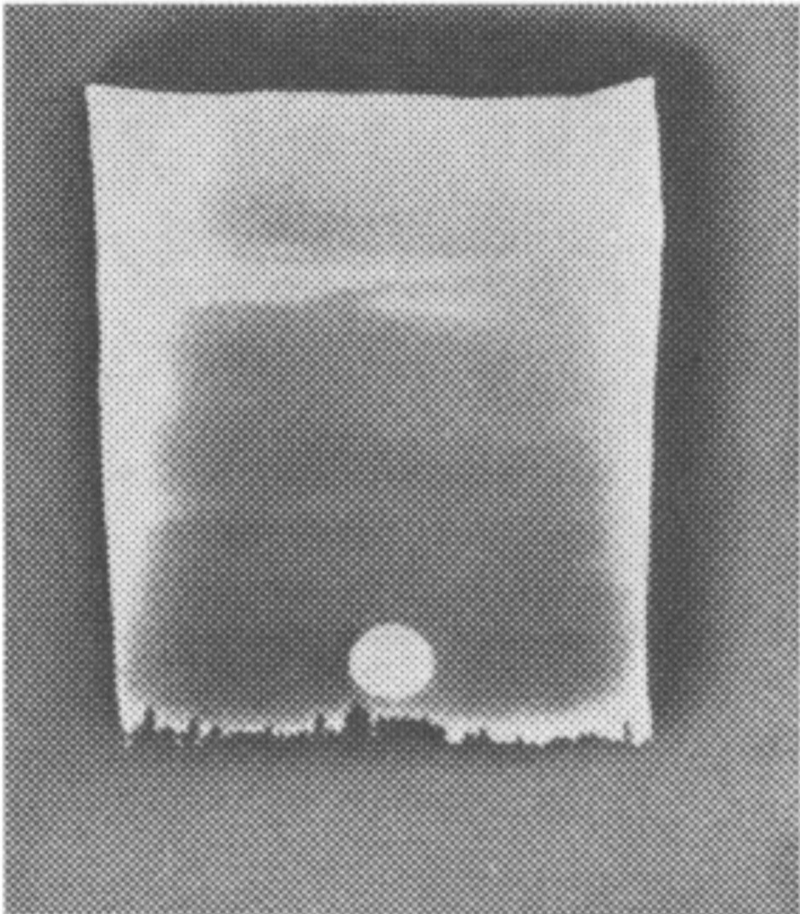 Фото 19. Через несколько минут после восхода Солнца 19 июня 1955 г.