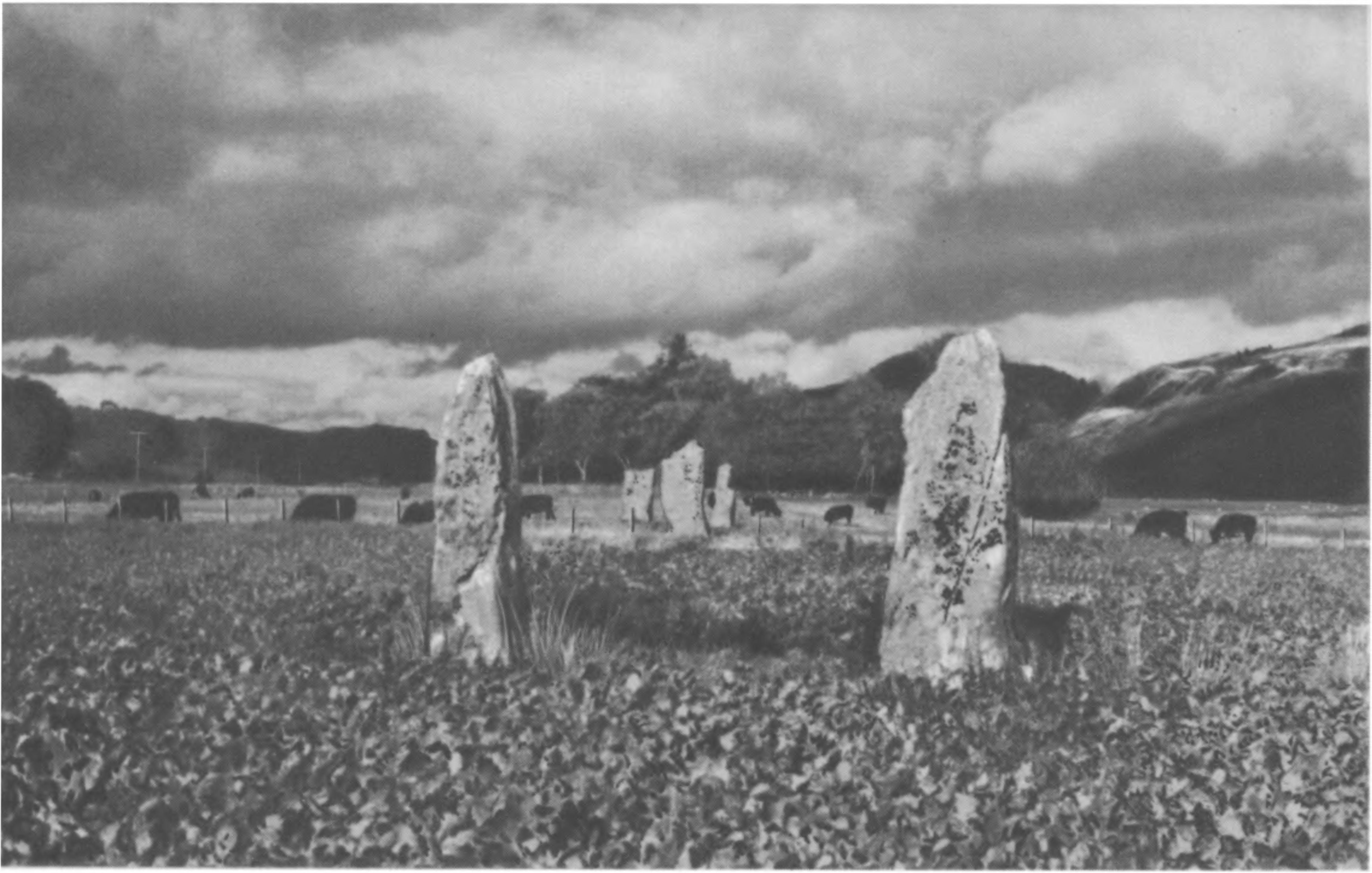 XVI. Стоячие камни Темпл-Вуда, вид на юго-запад в направлении на холм Белланох, который закрыт деревьями