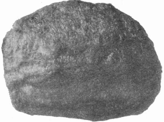 Железно-каменный метеорит, найденный в Сибири петербургским академиком Палласом в 1772 году