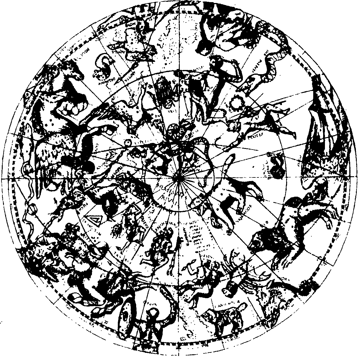 Старинная звездная карта с изображением фигур созвездий. Названия созвездий написаны по-латыни